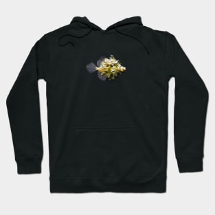 Filefish Hoodie